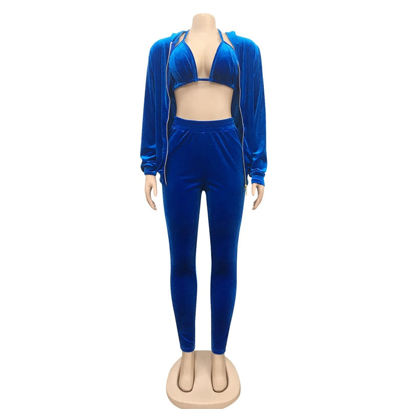 Velvet 3 Piece Set Sports Bra Cropped Hoodie Jacket and Sweatpants