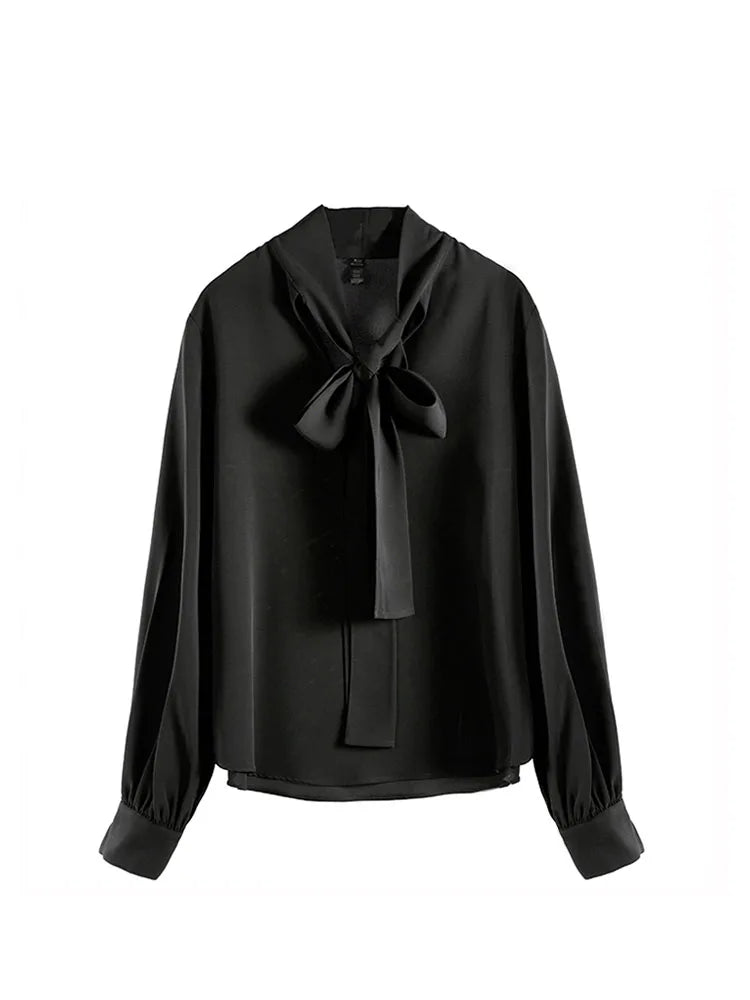 Lace Up Vintage Long Sleeve Solid Chiffon Casual Bow Blouse