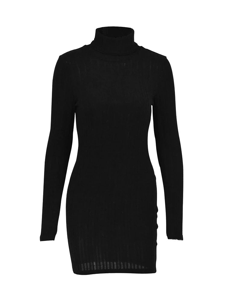 Autumn Turtleneck Long Sleeves Sheath Bodycon Dress