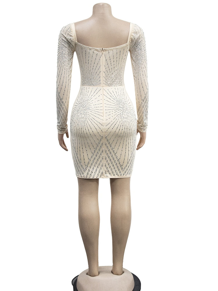 Rhinestone Decor Sheer Mesh Bodycon Dress