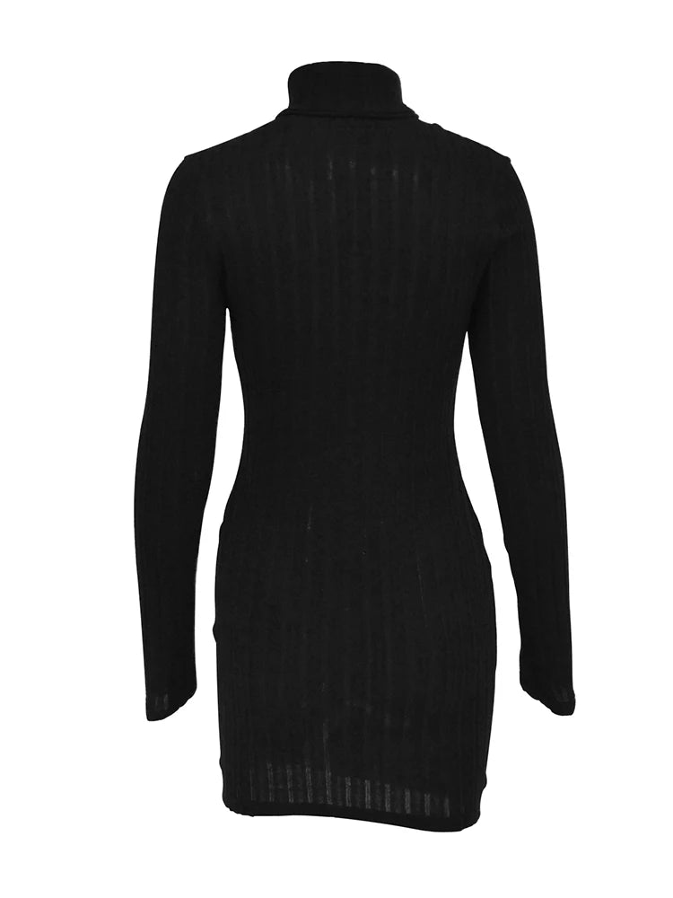 Autumn Turtleneck Long Sleeves Sheath Bodycon Dress