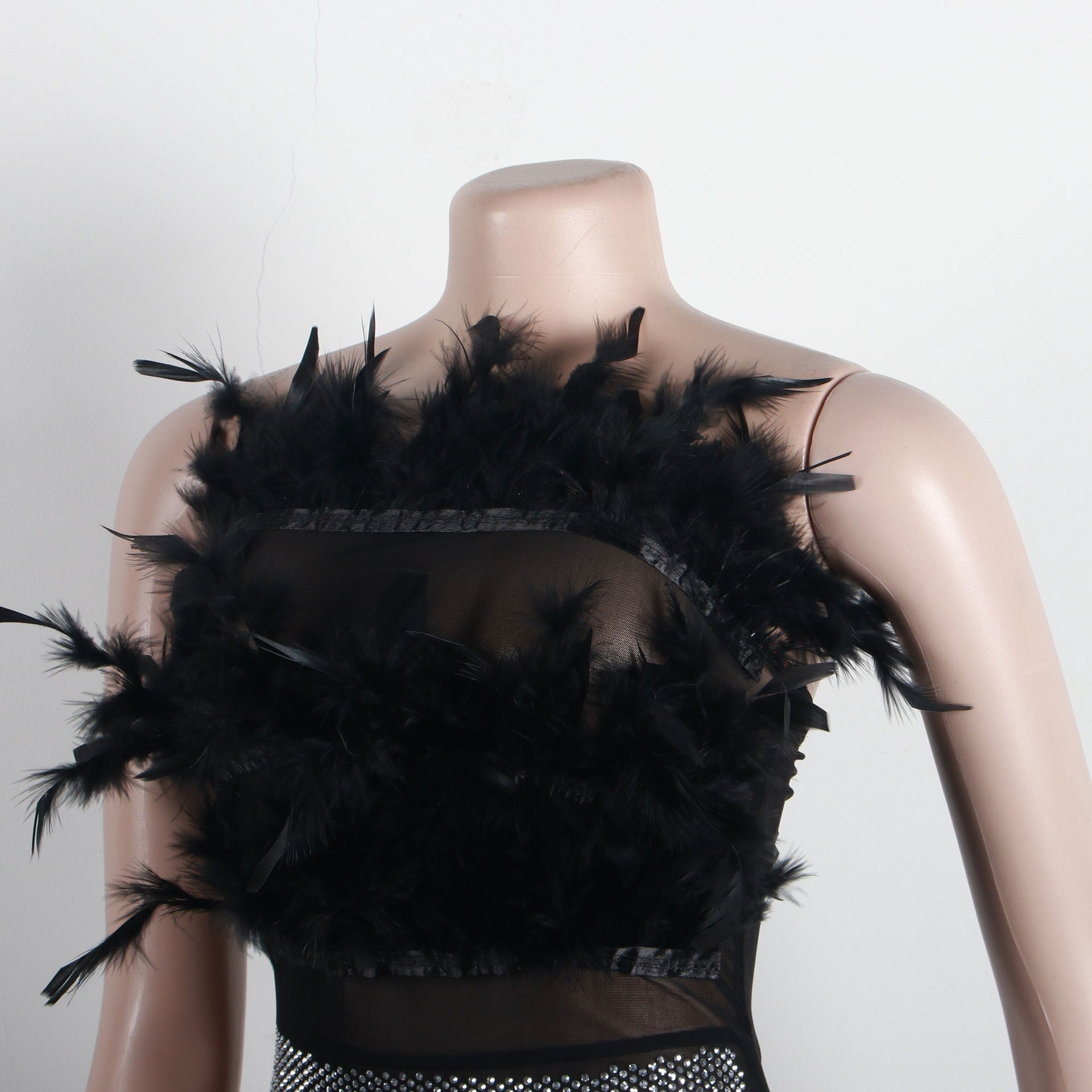 Off The Shoulder Sheer Mesh Rhinestone Feather Dress