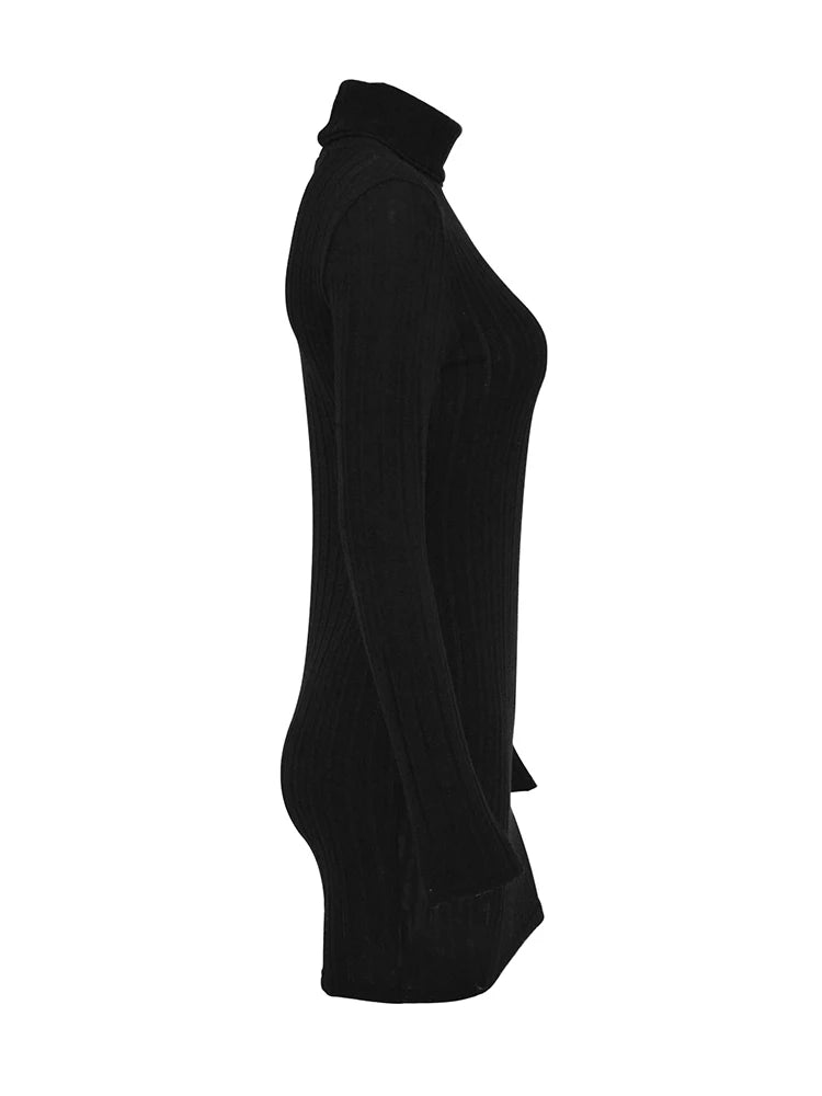 Autumn Turtleneck Long Sleeves Sheath Bodycon Dress