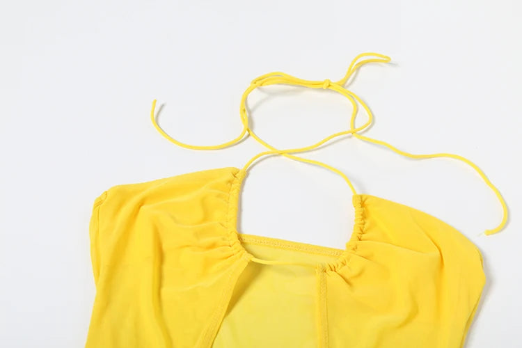 Hollow Halter Backless Ruched Ribbon Waist See Through Dress