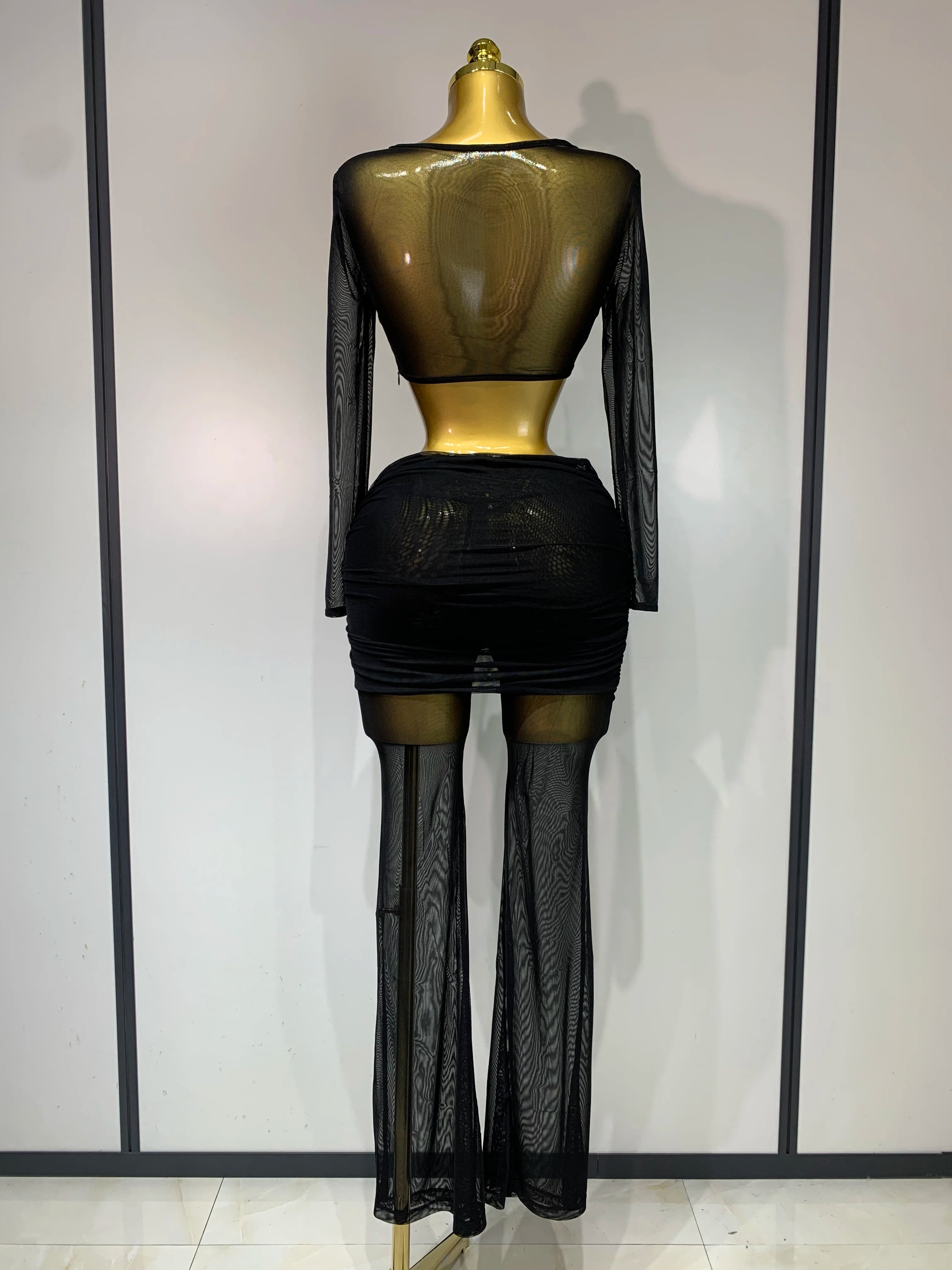 See Through Mesh Two Piece Set Club Birthday Evening Party Outfit