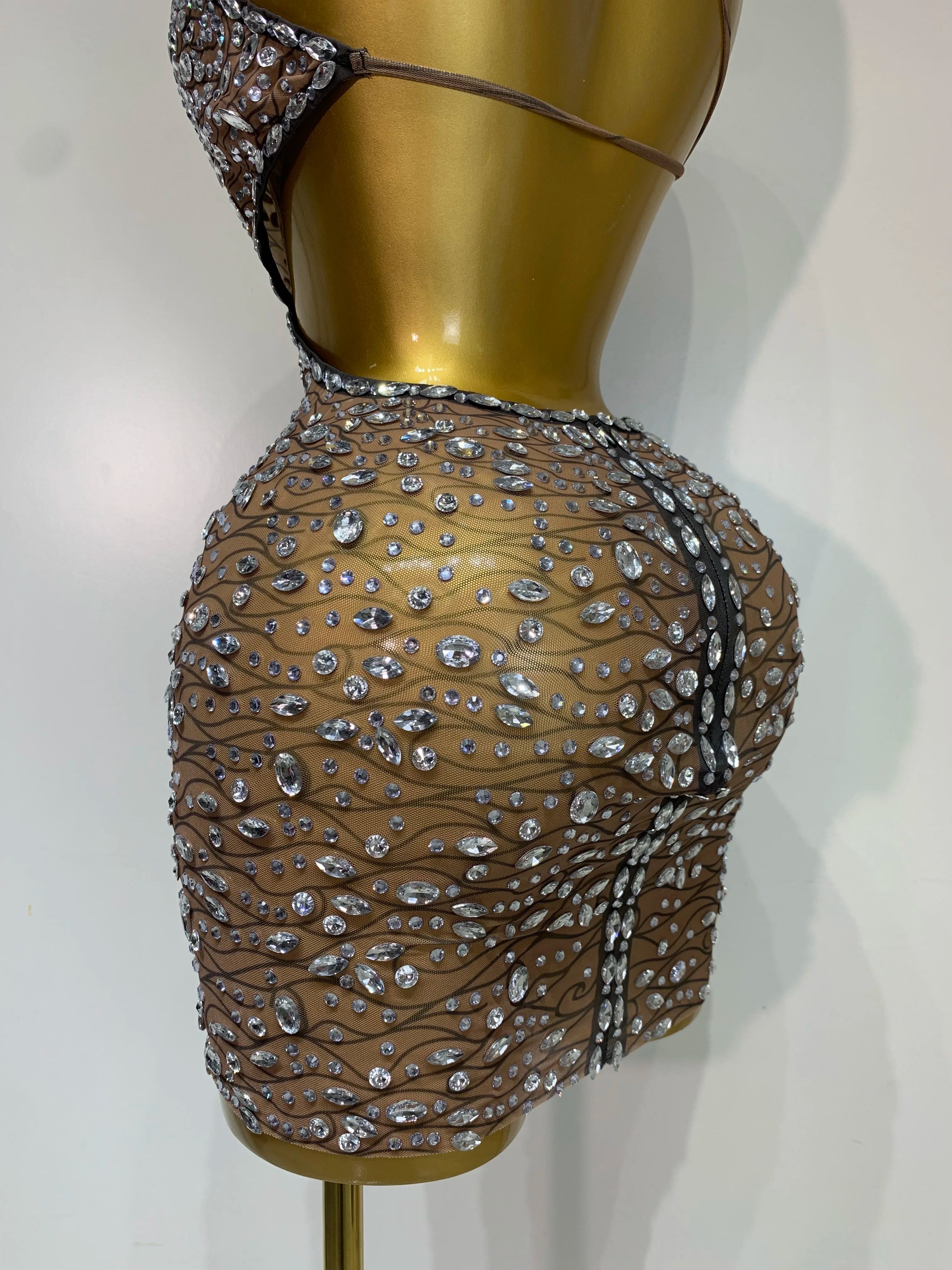 See Through Sparkly Diamond Dress
