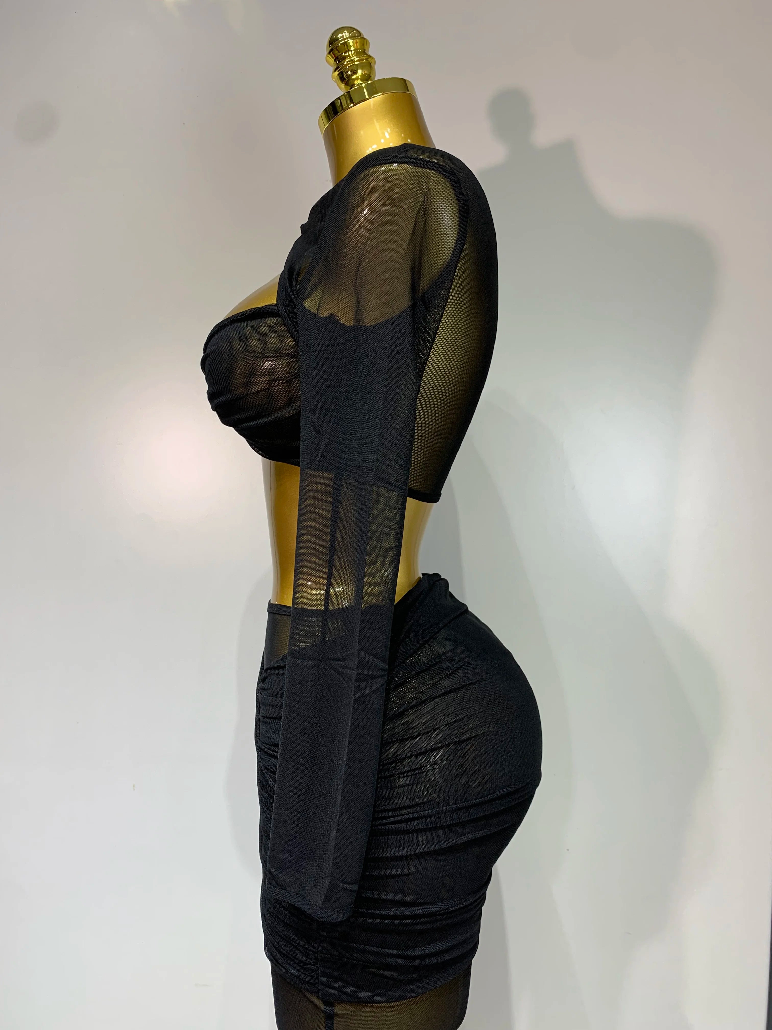 See Through Mesh Two Piece Set Club Birthday Evening Party Outfit