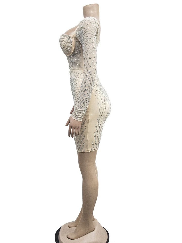 Rhinestone Decor Sheer Mesh Bodycon Dress