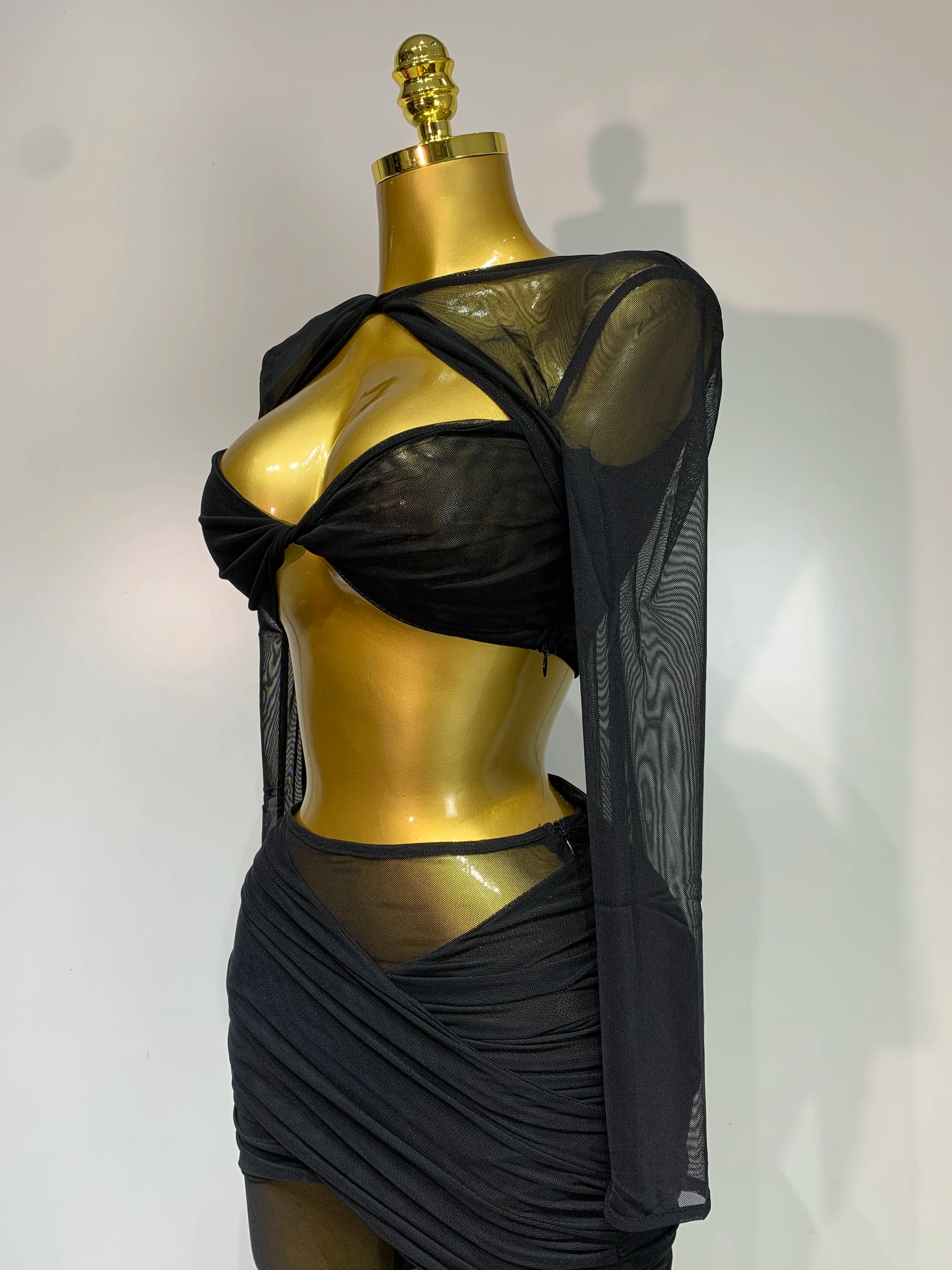 See Through Mesh Two Piece Set Club Birthday Evening Party Outfit