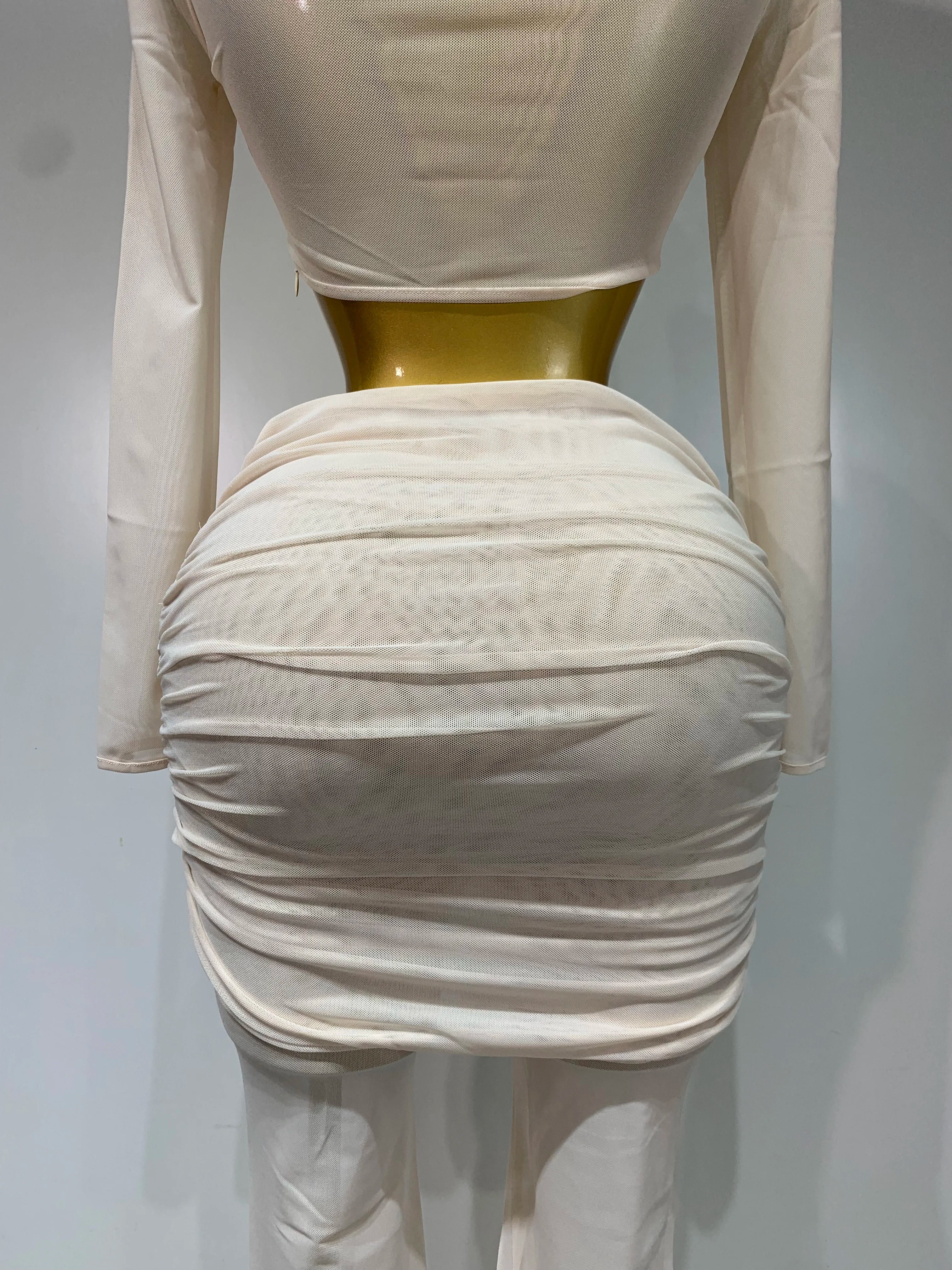 See Through Mesh Two Piece Set Club Birthday Evening Party Outfit