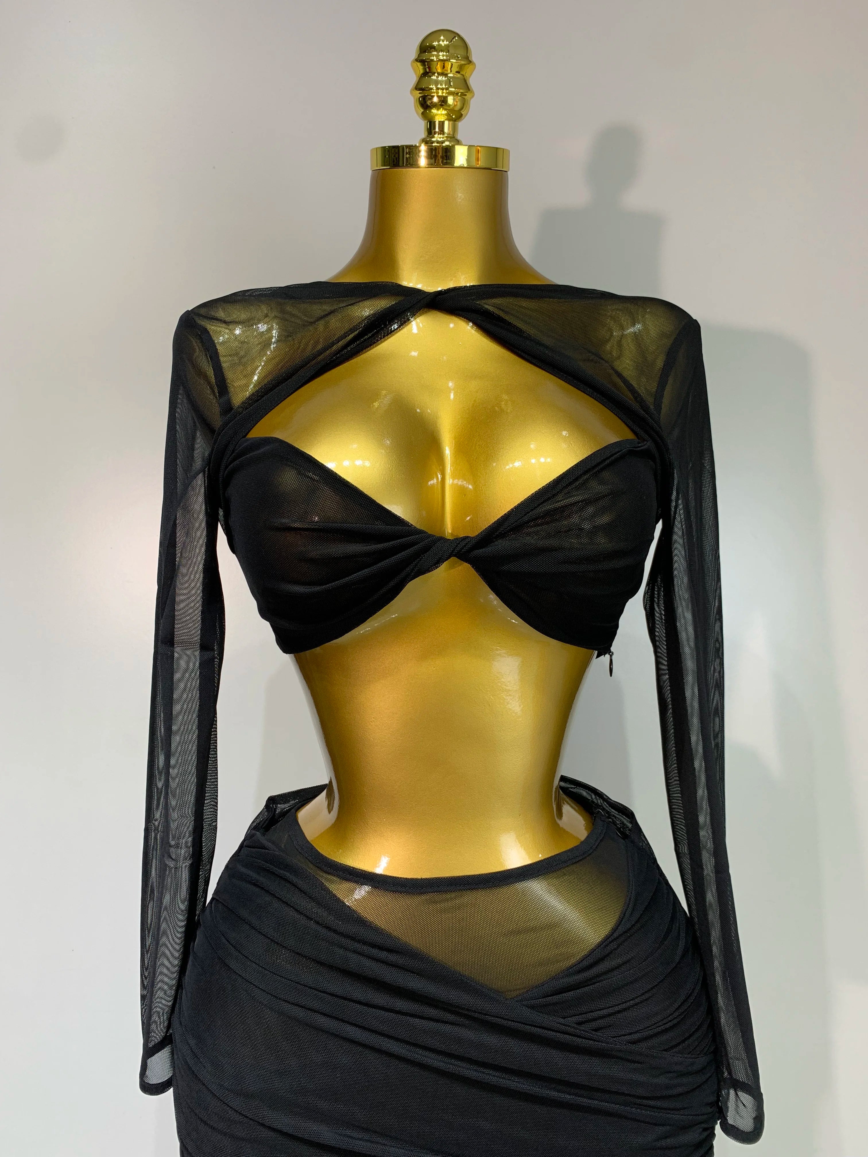 See Through Mesh Two Piece Set Club Birthday Evening Party Outfit