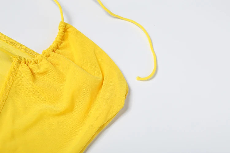 Hollow Halter Backless Ruched Ribbon Waist See Through Dress