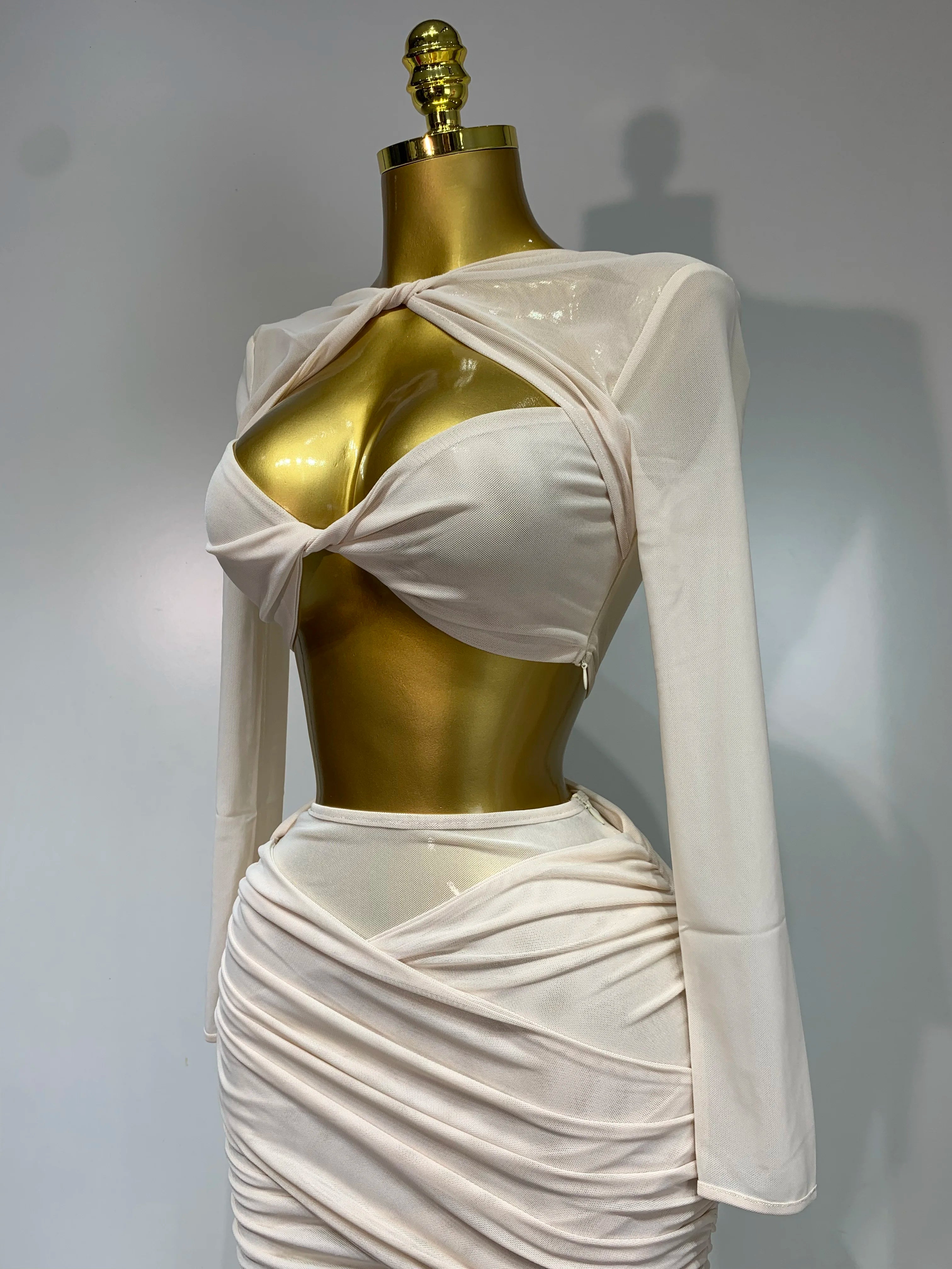 See Through Mesh Two Piece Set Club Birthday Evening Party Outfit