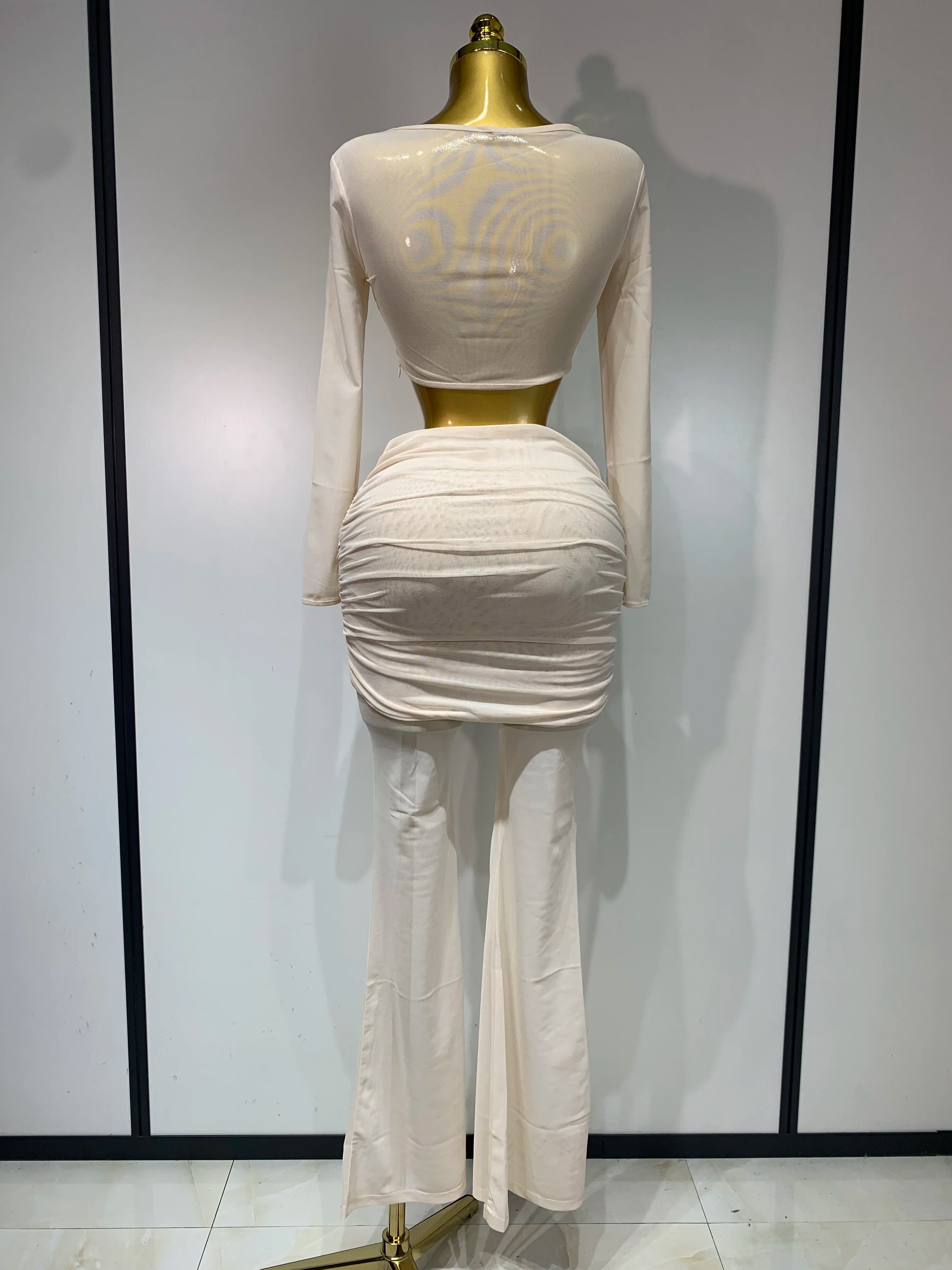 See Through Mesh Two Piece Set Club Birthday Evening Party Outfit