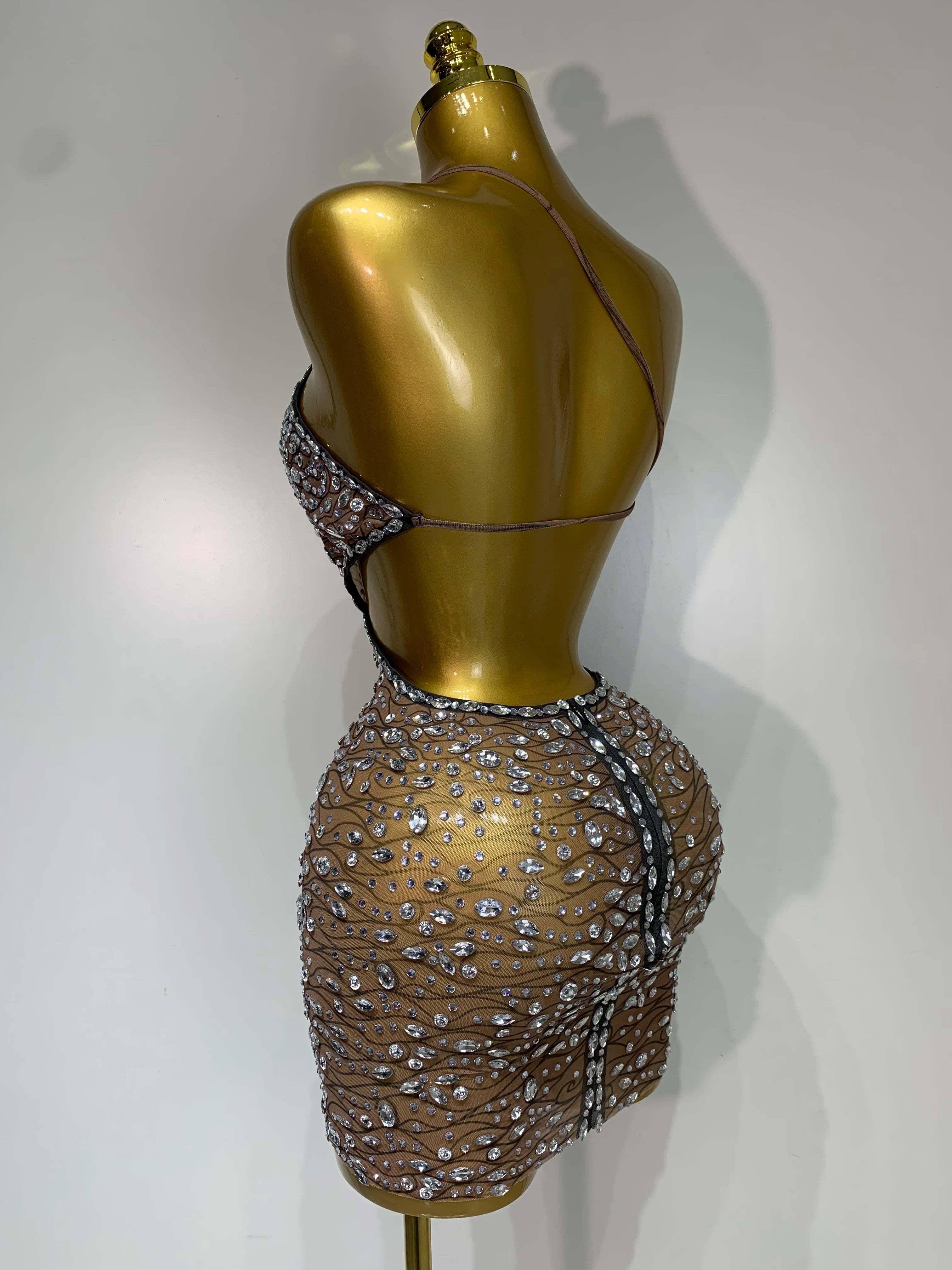 See Through Sparkly Diamond Dress
