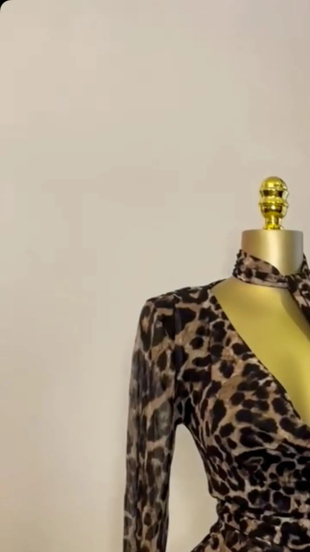 Leopard print Long Maxi Dress