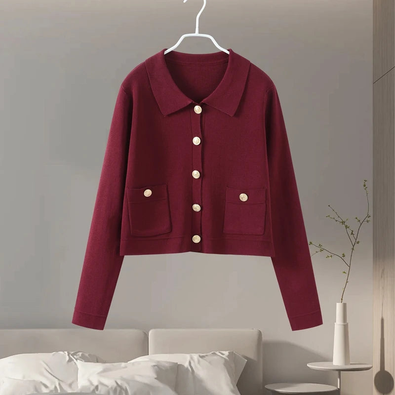 Knitted Two Pieces Single Breasted Lapel Cardigan Pleated A-line Mini Skirt Set