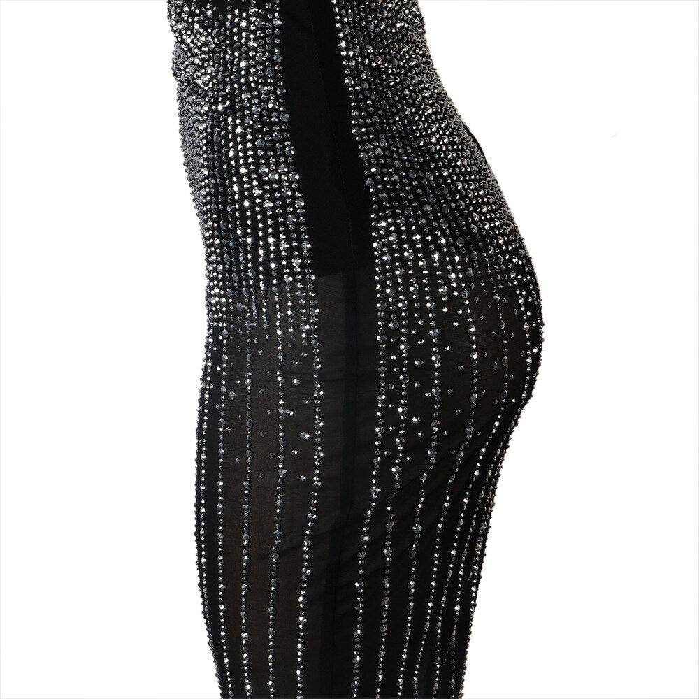 Sparkle Diamond Mesh Bodycon Long Dress