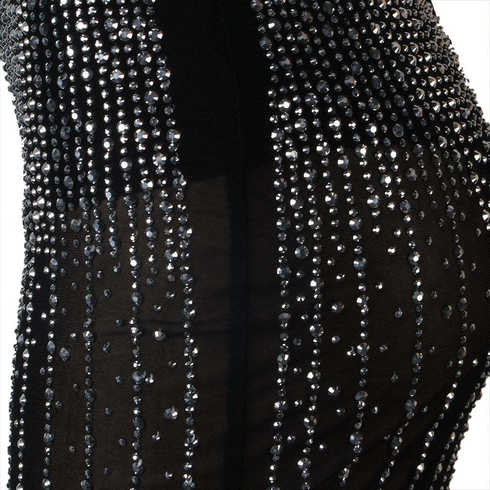 Sparkle Diamond Mesh Bodycon Long Dress