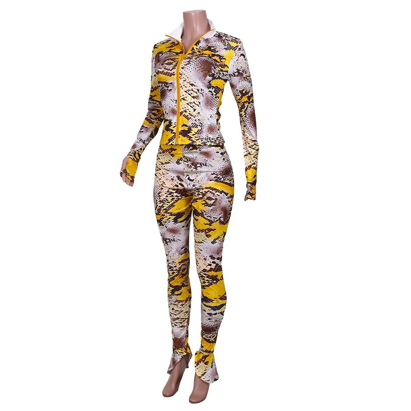 Snake Print Two Piece Crop Top and Leggings Pants Sweat Suits Tracksuits